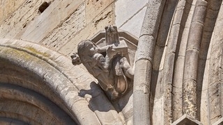 Dijon   (Cathédrale Saint Bénigne)    |   8  /  21    | 