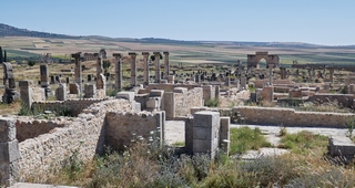 Volubilis   |   4  /  13    |