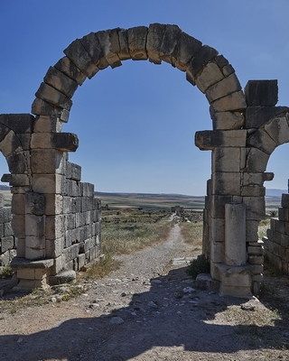 Volubilis   |   5  /  13    |