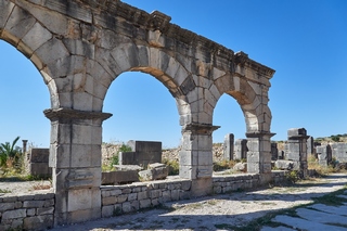 Volubilis   |   8  /  13    |