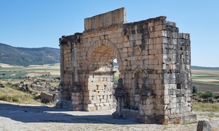 Volubilis   |   11  /  13    |