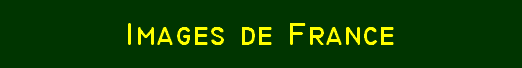 Logo de coco